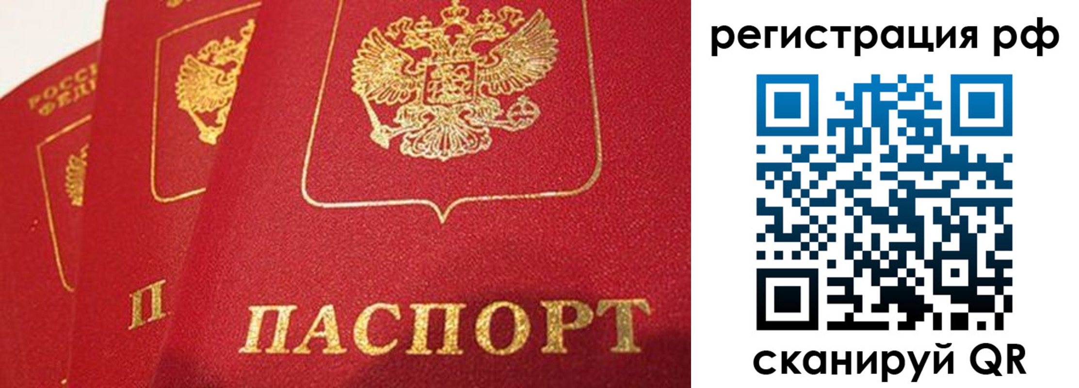 прописка поиск в Тынде